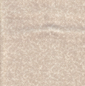 Santee Printed Cottons Cream Vinery